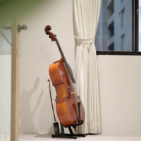 大提琴樂器實體販售