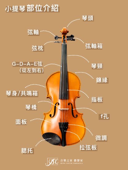 小提琴部位介紹