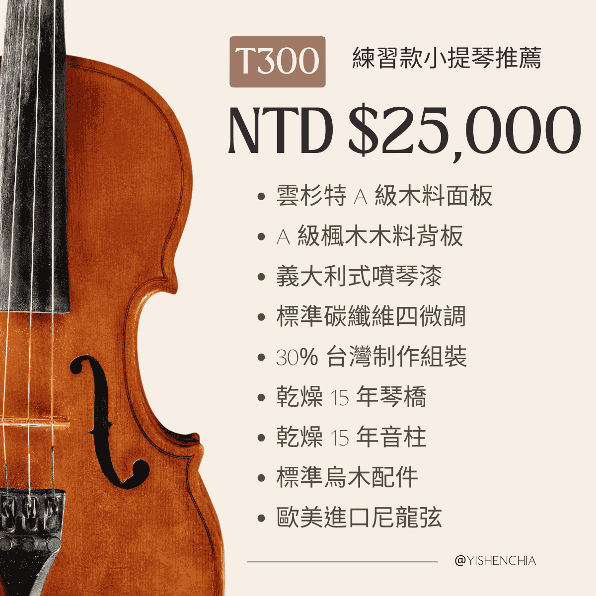 練習款小提琴T300